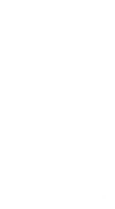 鱶鰭